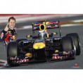 Fotka majstra sveta 2012 S. Vettela s jeho monopostom Red Bull RB8